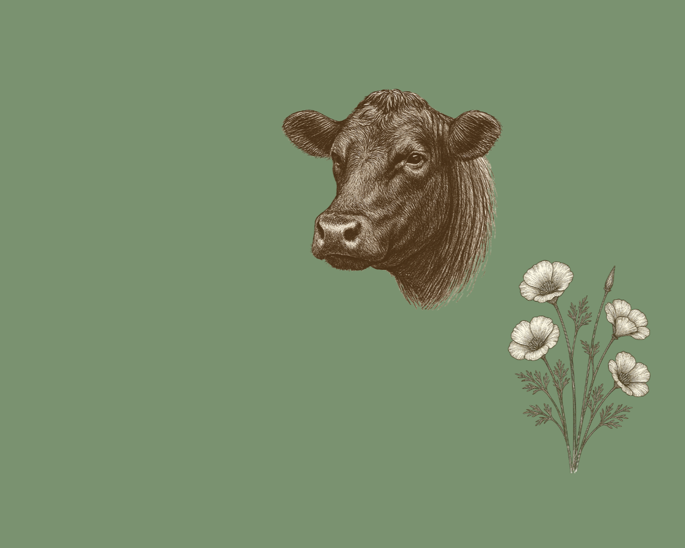 Illustration of a cow's head with flowers on a green background