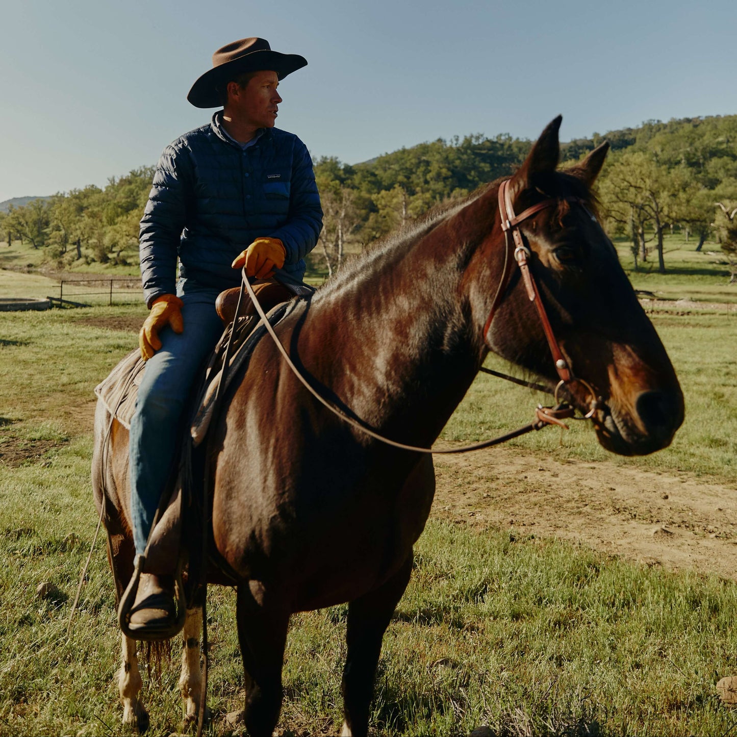 Man riding a horse in a rural setting with trees and clear sky.