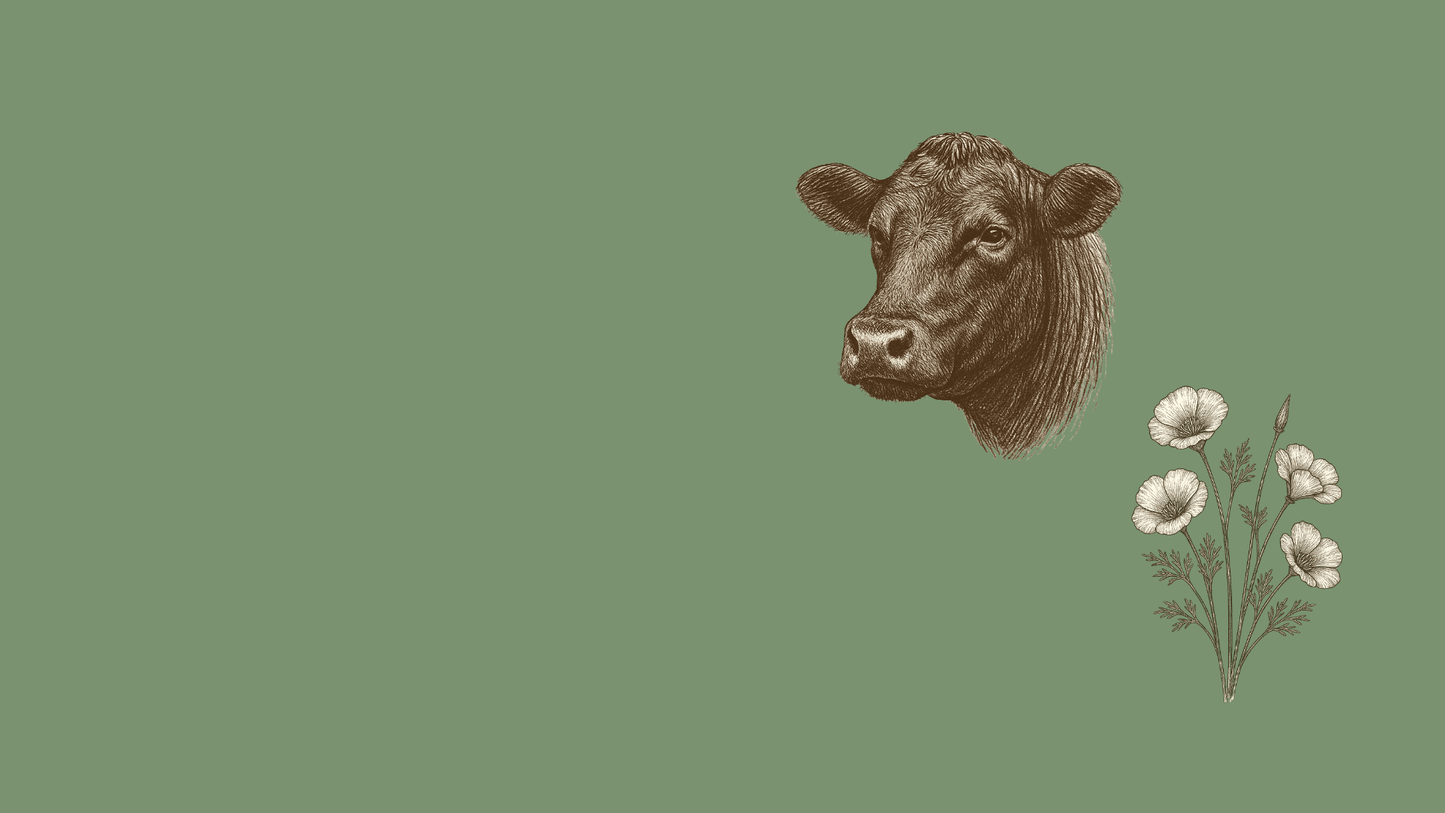 Illustration of a cow's head with flowers on a green background